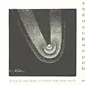 Emmanuel Liais, "Tête de la comète Donati le 9 octobre 1858", dans : L’espace céleste et la nature tropicale. Description physique de l’univers d’après des observations personnelles faites dans les deux hémisphères, Paris, Garnier frères, 1865, p.&nbsp;204.