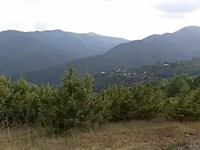 Intché
