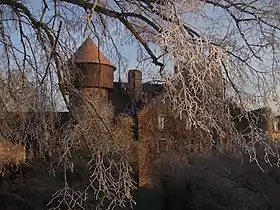 Image illustrative de l’article Château d'Ingrandes