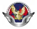 Insigne de l'EIO 13.513