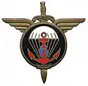 Insigne du 6e BCCP.