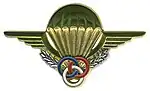 Brevet de Moniteur parachutiste.