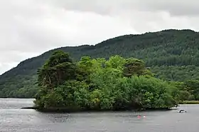 Image illustrative de l’article Île Inveruglas
