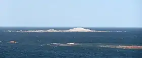Vue de l'île Shag