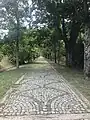 Chemin piéton dans l'arboretum.