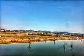 Novaki Pazinski