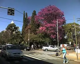 Itatiba