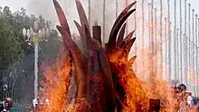 Photographie d'un feu d'ivoire à Brazzaville.