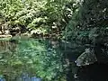 Étang Izuruhara Benten à Sano (Tochigi)