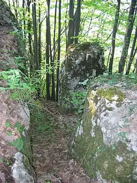 Mezgraja (Ugljevik)