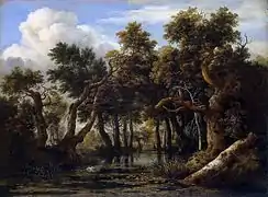 Marécage boisé (c. 1665), musée de l'Ermitage.
