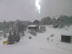 Jagoštica