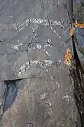 Loup turc (symbole des Göktürk) et runes.
