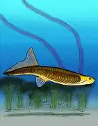 Jamoytius était un vertébré énigmatique qui pourrait être apparenté au poisson Anaspid.