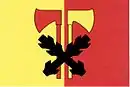 Drapeau de Janov