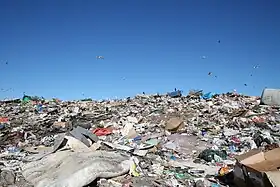 Jardim Gramacho