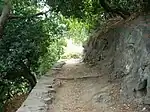 Le jardin Romieu