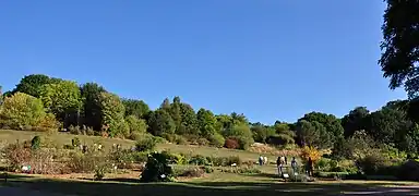Vue panoramique du jardin