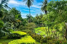 Image illustrative de l’article Zoo de Martinique