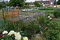 Jardins familiaux à Tourcoing, en France.