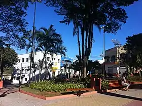 Jarinu