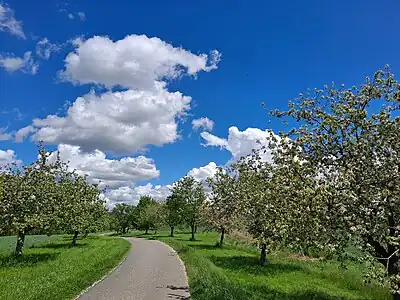 Pohoři.