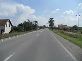 Jelenča