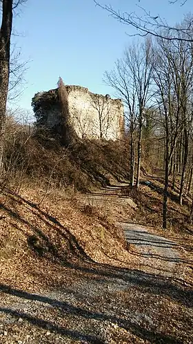 Gornja Jelenska