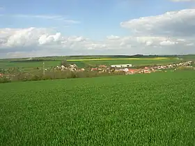 Jemníky