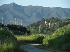 Réseau de sentiers, 2014.