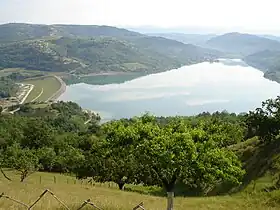Butoniga