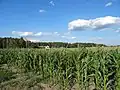 Vue sur Jeżewice.