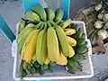 Banane Saba – Musa 'Saba' (Groupe ABB).