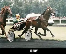 Image illustrative de l’article Jorky