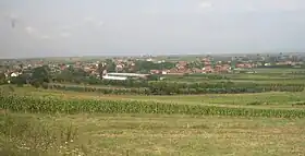 Jug Bogdanovac