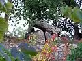 Le dolmen de Curton (oct. 2012)