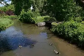 La Juine traversant le parc de Saclas dans l'Essonne.
