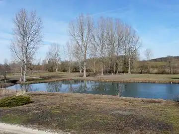 À Cercles, l'étang de Gagnole alimenté en eau par la Julie.