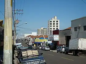 Junqueirópolis