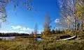 Vue de Heinälampi, au fond le lac Palokkajärvi.