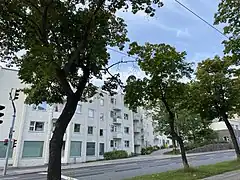 Käärmetalo.