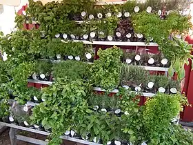 Image illustrative de l’article Fines herbes