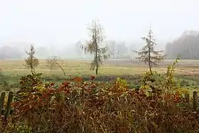 Kalonka (Mazovie)