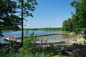 Krzywe (Podlachie)