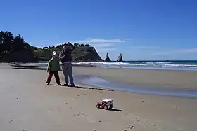 Karitane