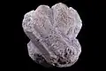 Macles sur {010} puis sur {110} - Ceilhes, Hérault France (4 × 3,6 cm)