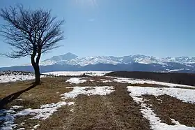 Koštanjevo