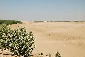 Des buissons au premier plan, un désert au second plan et un ciel bleu en fond.