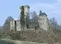 Château de Kasselburg (de) (Gerolstein)