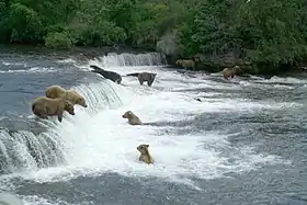Borough de Bristol Bay